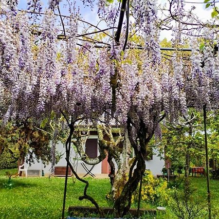 Casetta In Collina Sezze Kültér fotó