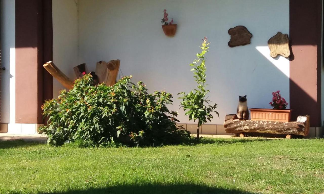 Casetta In Collina Sezze Kültér fotó