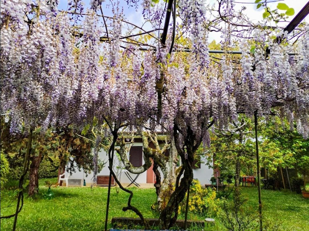 Casetta In Collina Sezze Kültér fotó